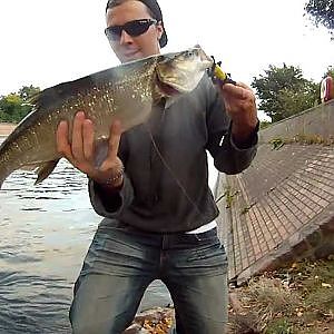 Limpes video Blog (DNA Stickbait) Rapfen