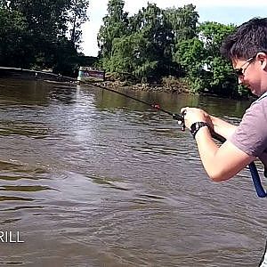 Rapfen #2 (Hamburger Rapfen sind gross und gierig)