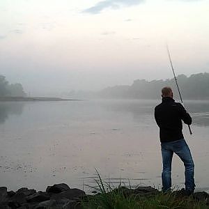 Rapfen auf Ansage in der Elbe mit Ole