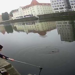 Rapfen Live Biss Spree 09 2014 Rapala Skitter Pop