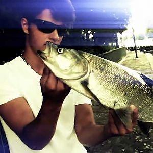 Fishing is Life(Folge 6) Barsch.Zander.Rapfen.Hecht