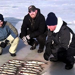 Whitefish Limits, Sturgeon Bay, Door County, Alexander Sport Fishing, Ice Fish Green Bay