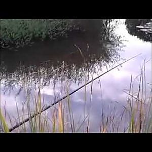 Angeln im kleinen Teich auf Schleie