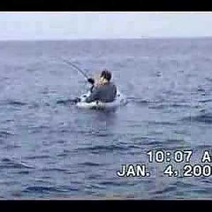 100 Pound Sailfish Tows kayak hooked: monster fish! fly flshing