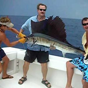 TEXAS fishing WILDCATTER double header sailfish