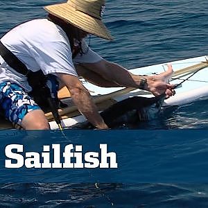 Angler Catches Monster Sailfish From Paddle Board