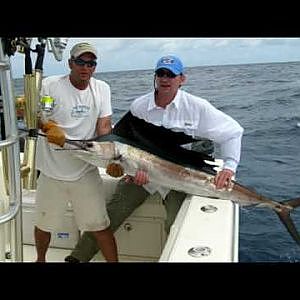 Sailfish - Offshore Fishing in Miami on TheBeast  -