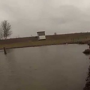 Zanderdrill am Nederrijn - Fishing Connection Niederrhein