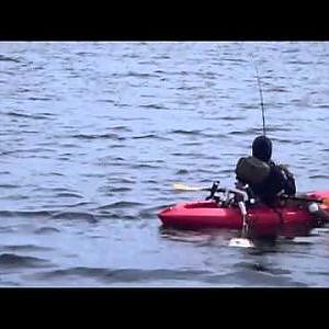 Ultimate Kayak Fishing Experience - SailFish