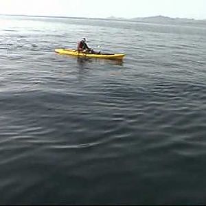 Kayak Fishing for Sailfish 2009