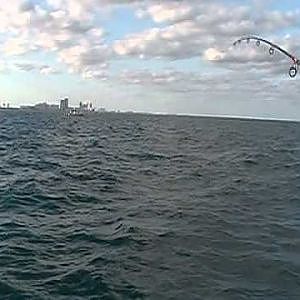 Gypsy Fishing Florida Sailfish