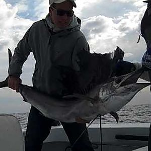 Beauty of a Sailfish! Deep See Fishing Miami - Catch & Release