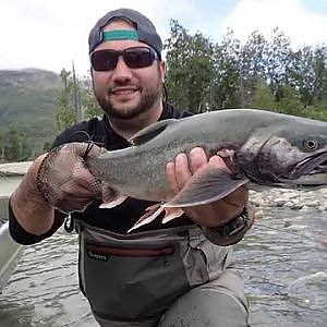 Alaska Fly Fishing - Rainbow Trout, Silver Salmon, and Arctic Char (HD)
