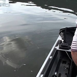 Monster Sturgeon 1000 lb! Jumps in the boat scary as hell. 1 of 2
