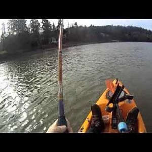 The Sturgeon: kayak fishing in Oregon