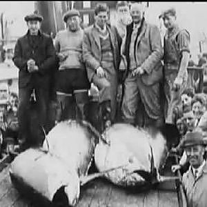 World Record of Giant Bluefin Tuna 1496 lbs Ken Fraser & Nova Scotia Highlight