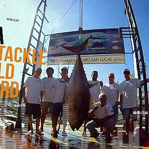 World Record Yellowfin Tuna