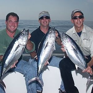 Bluefin Tuna - Rhode Island Sound, RI - Jigging (Preview)