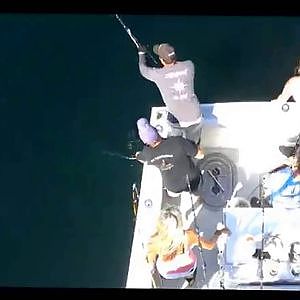 American Fisherman From Wicked Tuna Catches 920 Pound (417kg) Tuna - Fishing TV HD