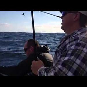 Blue fin Tuna fishing in Portland (part 2)