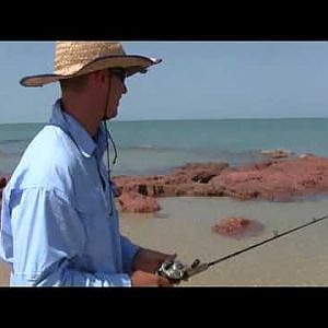 BARRAMUNDI FISHING AT THE BEACH1