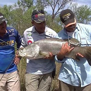 Fishing for Barramundi with Live Bait - REEL ACTION TV