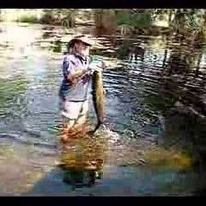 How to catch a Barramundi in Australia