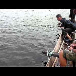 Barramundi fishing in Papua New Guinea 金目鲈