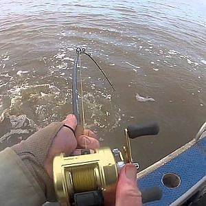 Fishing the Mary River NT 2013