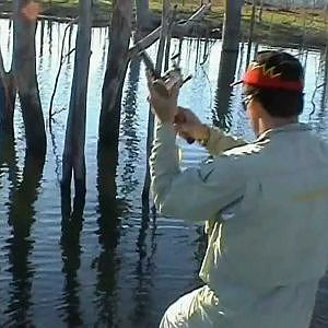 Lake Proserpine Barramundi Fishing - Meter + Barra