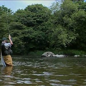 Born to Fish Fly fishing River Wye