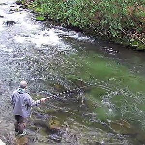 Fly Fishing with Tenkara in the Smoky Mountains