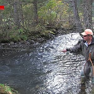 Fliegenfischen in Österreich - Taktik in schnellfließenden Gewässern - von etheonTV