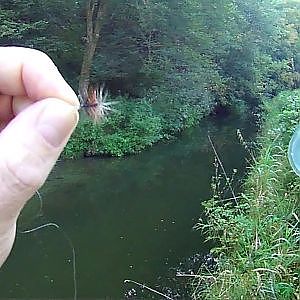 Fliegenfischen mit der Wasserkugel