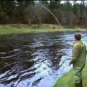 Lachsfischen / Fliegenfischen am River Spey - der Film!