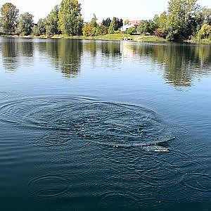 Fliegenfischen vom Boot aus im Baggersee