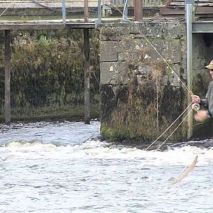 Fliegenfischen in Irland - Moy, Ridge Pool 2  / Weir Pool - von etheonTV