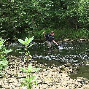 Fliegenfischen am Neckar