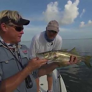 Snapper Madness - WRECK fishing in the Keys