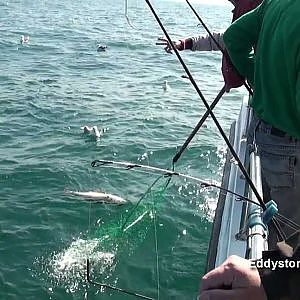 Wreck fishing with Eddystone Eels