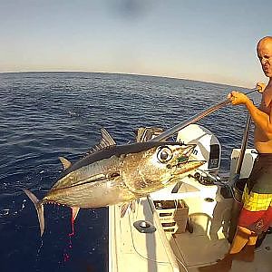 Tuna Fishing Larnaca Bay at Ship wreck 2014