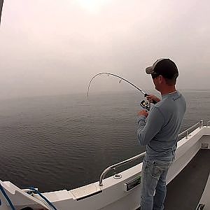 Light Tackle Wreck Fishing on the Blueprint
