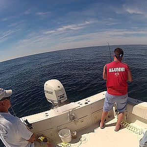 wreck fishing for Sea Bass 2013