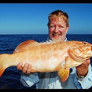 Great Barrier Reef fishing charter with Reefari!!