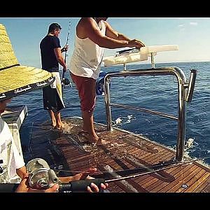 GoPro Edit | Great Barrier Reef Fishing with Peter Andre