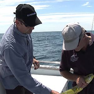 HOOKED S7 EP08 Sydney Reef Fishing Jewfish