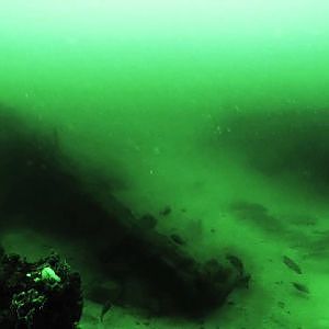 Underwater fishing camera: Goliath grouper, amberjack, grunts and redfish abound on a Big Bend reef.