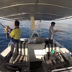 Innisfail Reef Trips