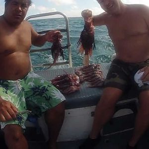 Lion-Fish Hunt Barracuda Reef Cozumel