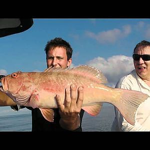 Reef Fishing off Cairns